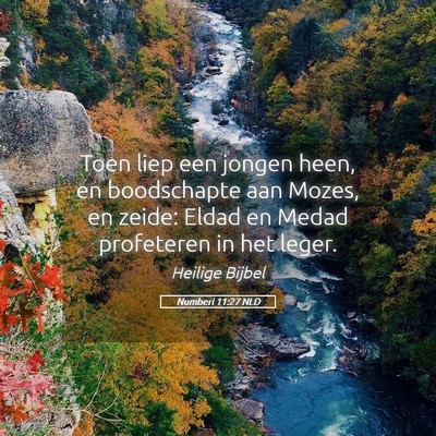 Picture 05 - Numberi 11:27 NLD - Toen liep een jongen heen, en boodschapte aan - Bible Verse Picture