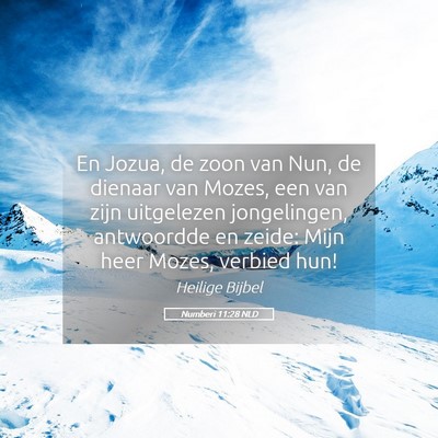 Picture 05 - Numberi 11:28 NLD - En Jozua, de zoon van Nun, de dienaar van Mozes, - Bible Verse Picture
