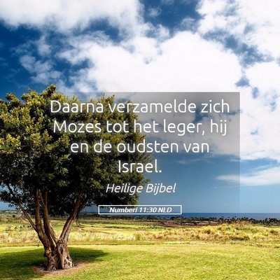 Picture 05 - Numberi 11:30 NLD - Daarna verzamelde zich Mozes tot het leger, hij - Bible Verse Picture