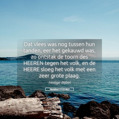 Picture 05 - Numberi 11:33 NLD - Dat vlees was nog tussen hun tanden, eer het - Bible Verse Picture