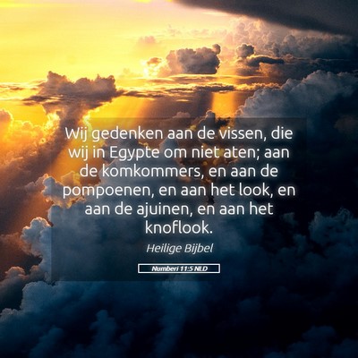 Picture 05 - Numberi 11:5 NLD - Wij gedenken aan de vissen, die wij in Egypte om - Bible Verse Picture