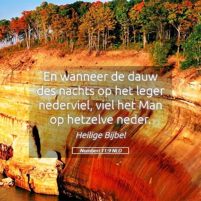 Picture 05 - Numberi 11:9 NLD - En wanneer de dauw des nachts op het leger - Bible Verse Picture