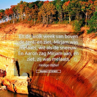 Picture 05 - Numberi 12:10 NLD - En de wolk week van boven de tent; en ziet, - Bible Verse Picture