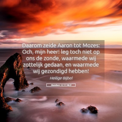 Picture 05 - Numberi 12:11 NLD - Daarom zeide Aaron tot Mozes: Och, mijn heer! leg - Bible Verse Picture