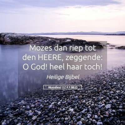 Picture 05 - Numberi 12:13 NLD - Mozes dan riep tot den HEERE, zeggende: O God! - Bible Verse Picture
