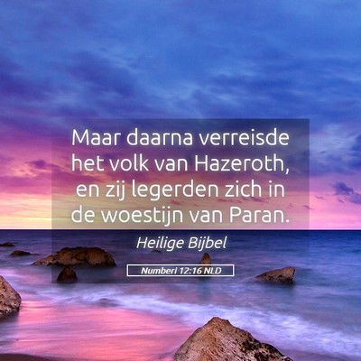 Picture 05 - Numberi 12:16 NLD - Maar daarna verreisde het volk van Hazeroth, en - Bible Verse Picture