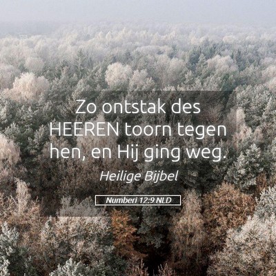 Picture 05 - Numberi 12:9 NLD - Zo ontstak des HEEREN toorn tegen hen, en Hij - Bible Verse Picture