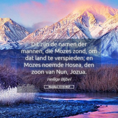 Picture 05 - Numberi 13:16 NLD - Dit zijn de namen der mannen, die Mozes zond, om - Bible Verse Picture