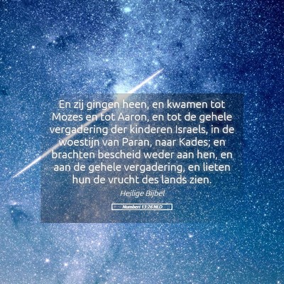 Picture 05 - Numberi 13:26 NLD - En zij gingen heen, en kwamen tot Mozes en tot - Bible Verse Picture