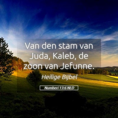 Picture 05 - Numberi 13:6 NLD - Van den stam van Juda, Kaleb, de zoon van - Bible Verse Picture