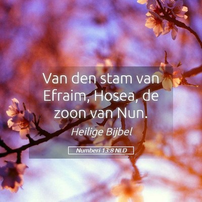 Picture 05 - Numberi 13:8 NLD - Van den stam van Efraim, Hosea, de zoon van - Bible Verse Picture