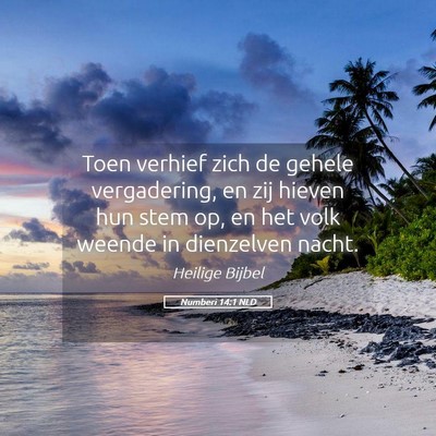 Picture 05 - Numberi 14:1 NLD - Toen verhief zich de gehele vergadering, en zij - Bible Verse Picture