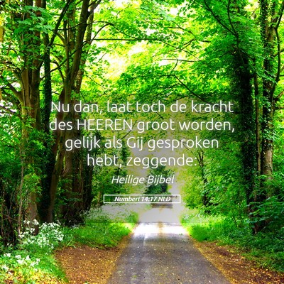 Picture 05 - Numberi 14:17 NLD - Nu dan, laat toch de kracht des HEEREN groot - Bible Verse Picture