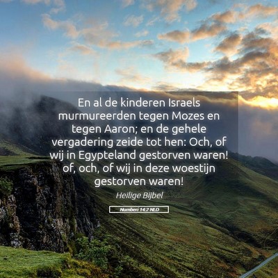 Picture 05 - Numberi 14:2 NLD - En al de kinderen Israels murmureerden tegen - Bible Verse Picture
