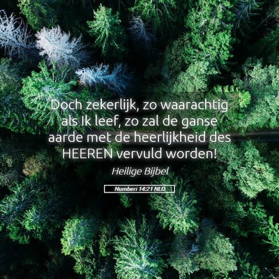 Picture 05 - Numberi 14:21 NLD - Doch zekerlijk, zo waarachtig als Ik leef, zo zal - Bible Verse Picture