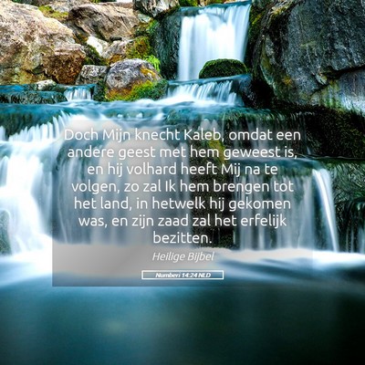 Picture 05 - Numberi 14:24 NLD - Doch Mijn knecht Kaleb, omdat een andere geest - Bible Verse Picture