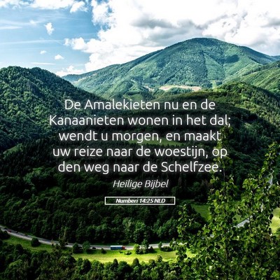 Picture 05 - Numberi 14:25 NLD - De Amalekieten nu en de Kanaanieten wonen in het - Bible Verse Picture