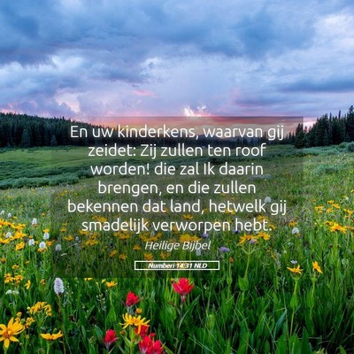 Picture 05 - Numberi 14:31 NLD - En uw kinderkens, waarvan gij zeidet: Zij zullen - Bible Verse Picture