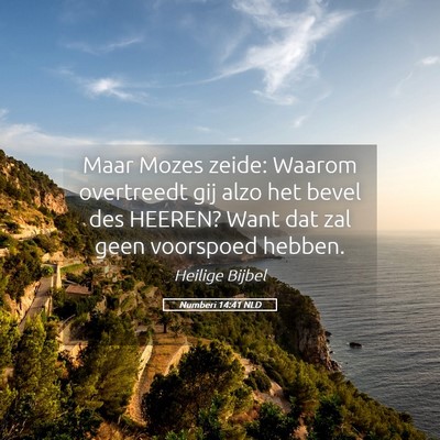 Picture 05 - Numberi 14:41 NLD - Maar Mozes zeide: Waarom overtreedt gij alzo het - Bible Verse Picture