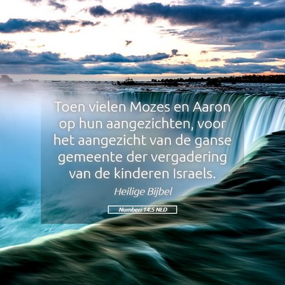 Picture 05 - Numberi 14:5 NLD - Toen vielen Mozes en Aaron op hun aangezichten, - Bible Verse Picture