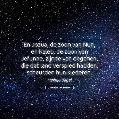 Picture 05 - Numberi 14:6 NLD - En Jozua, de zoon van Nun, en Kaleb, de zoon van - Bible Verse Picture