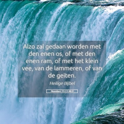 Picture 05 - Numberi 15:11 NLD - Alzo zal gedaan worden met den enen os, of met - Bible Verse Picture