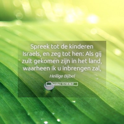 Picture 05 - Numberi 15:18 NLD - Spreek tot de kinderen Israels, en zeg tot hen: - Bible Verse Picture