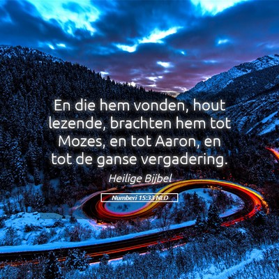 Picture 05 - Numberi 15:33 NLD - En die hem vonden, hout lezende, brachten hem tot - Bible Verse Picture