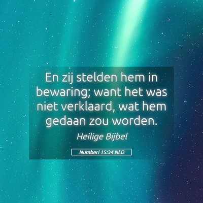 Picture 05 - Numberi 15:34 NLD - En zij stelden hem in bewaring; want het was niet - Bible Verse Picture