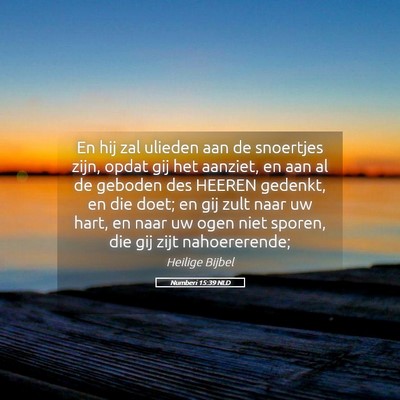 Picture 05 - Numberi 15:39 NLD - En hij zal ulieden aan de snoertjes zijn, opdat - Bible Verse Picture