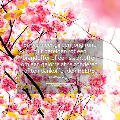 Picture 05 - Numberi 15:8 NLD - En wanneer gij een jong rund zult bereiden tot - Bible Verse Picture