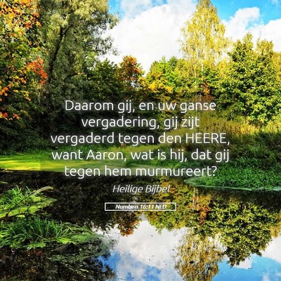 Picture 05 - Numberi 16:11 NLD - Daarom gij, en uw ganse vergadering, gij zijt - Bible Verse Picture