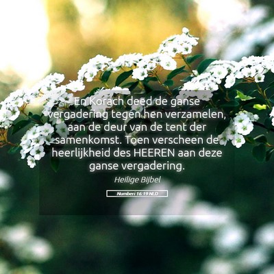 Picture 05 - Numberi 16:19 NLD - En Korach deed de ganse vergadering tegen hen - Bible Verse Picture