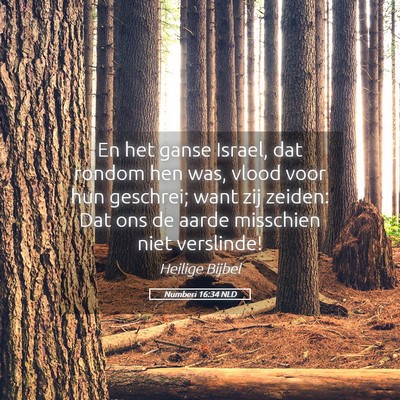 Picture 05 - Numberi 16:34 NLD - En het ganse Israel, dat rondom hen was, vlood - Bible Verse Picture