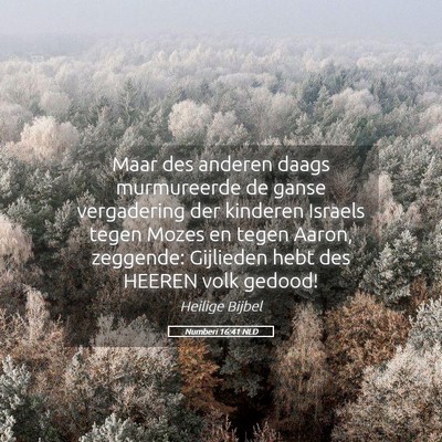 Picture 05 - Numberi 16:41 NLD - Maar des anderen daags murmureerde de ganse - Bible Verse Picture