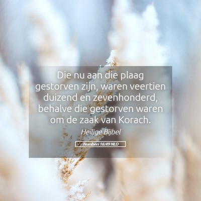 Picture 05 - Numberi 16:49 NLD - Die nu aan die plaag gestorven zijn, waren - Bible Verse Picture