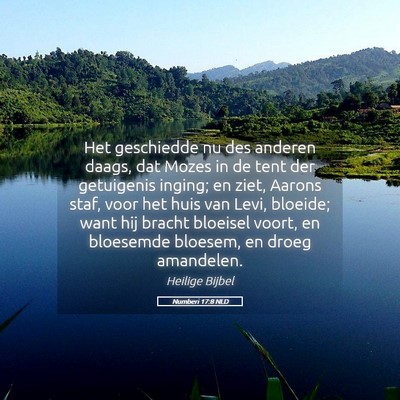 Picture 05 - Numberi 17:8 NLD - Het geschiedde nu des anderen daags, dat Mozes in - Bible Verse Picture