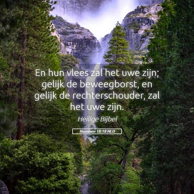 Picture 05 - Numberi 18:18 NLD - En hun vlees zal het uwe zijn; gelijk de - Bible Verse Picture