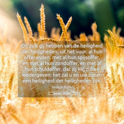 Picture 05 - Numberi 18:9 NLD - Dit zult gij hebben van de heiligheid der - Bible Verse Picture