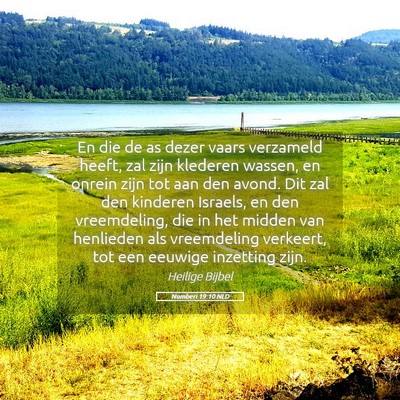 Picture 05 - Numberi 19:10 NLD - En die de as dezer vaars verzameld heeft, zal - Bible Verse Picture