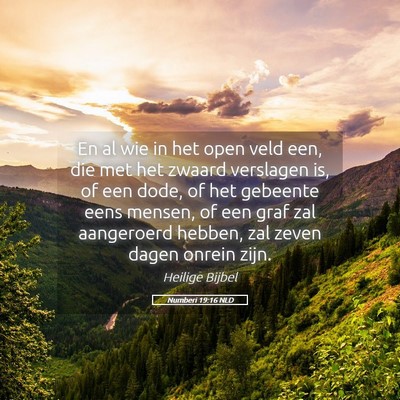 Picture 05 - Numberi 19:16 NLD - En al wie in het open veld een, die met het - Bible Verse Picture