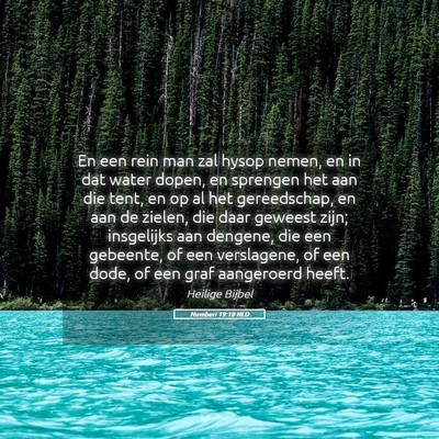 Picture 05 - Numberi 19:18 NLD - En een rein man zal hysop nemen, en in dat water - Bible Verse Picture