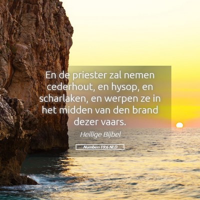 Picture 05 - Numberi 19:6 NLD - En de priester zal nemen cederhout, en hysop, en - Bible Verse Picture