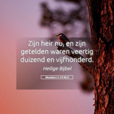 Picture 05 - Numberi 2:19 NLD - Zijn heir nu, en zijn getelden waren veertig - Bible Verse Picture