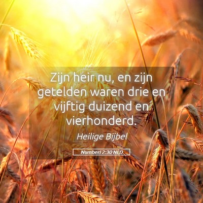 Picture 05 - Numberi 2:30 NLD - Zijn heir nu, en zijn getelden waren drie en - Bible Verse Picture