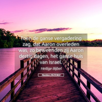 Picture 05 - Numberi 20:29 NLD - Toen de ganse vergadering zag, dat Aaron - Bible Verse Picture