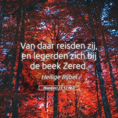 Picture 05 - Numberi 21:12 NLD - Van daar reisden zij, en legerden zich bij de - Bible Verse Picture
