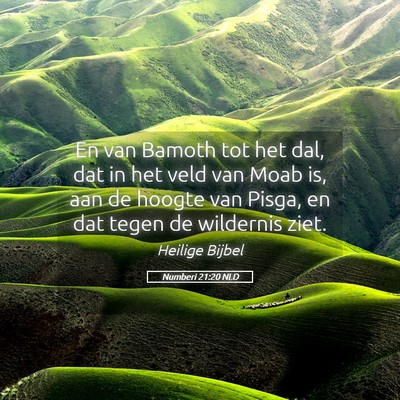 Picture 05 - Numberi 21:20 NLD - En van Bamoth tot het dal, dat in het veld van - Bible Verse Picture