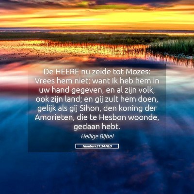 Picture 05 - Numberi 21:34 NLD - De HEERE nu zeide tot Mozes: Vrees hem niet; want - Bible Verse Picture