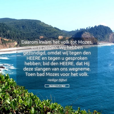 Picture 05 - Numberi 21:7 NLD - Daarom kwam het volk tot Mozes, en zij zeiden: - Bible Verse Picture